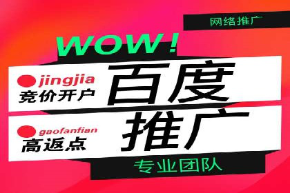 成功SEM代理案例：精准投放的策略